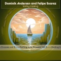 Dominik Andersen、Felipe Suarez - Softly Fading