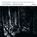 Carolin Widmann、alexander lonquich - Schubert: Violin Sonata in A Major 