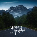 王虹-王棚主 - 林子大了什么鸟都有