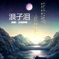 江舟夜雨 - 浪子泪