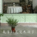 子辉吉他 - 我等到花儿也谢了