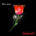 Cvetocek7 - Дона