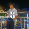 罗冷贤 - 为什么离开我