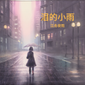 江舟夜雨 - 泪的小雨