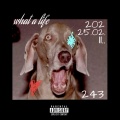 Mad Dog - What a life