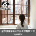叶枫 - 不在等候的姑娘