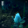 MitiS、RØRY - Try