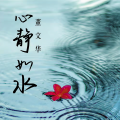 董文华 - 萤火虫