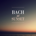 hans-martin linde、pierre pierlot、George Frideric Handel、Gunther Hoeller、Helmut Schneidewind、Orchestre de la Sarre、Karl Ristenpart - 2. Andante