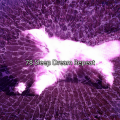 最佳放松 SPA 音乐 - 深夜奉献