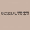 Victor Pizarro、snippets by Victor Pizarro - Somewhere Only We Know