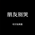 旺仔加真露 - 朋友别哭