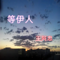 王阿忠 - 等伊人