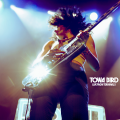 Towa Bird - Boomerang
