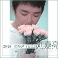 刘嘉亮 - 妈妈 您辛苦了