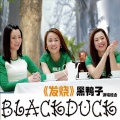 黑鸭子演唱组合 - 踏浪