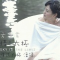 方季惟、李天华 - 隔海相望