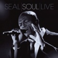 Seal - I Can't Stand the Rain
