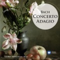 Andrei Gavrilov、Academy of St Martin in the Fields、Neville Marriner - II. Largo