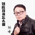 杨峰 - 到底我该怎么做