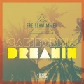 Freischwimmer - California Dreamin'
