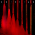 Blossoms - Winters Kiss