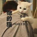 MC战王张炫 - 多啦A梦伴我同行