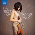 杨天娲、Ernest Martínez Izquierdo、Navarre Symphony Orchestra - V. Moderato - Animato