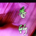 孙小云 - 香竹