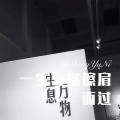 杨二爷 - 等一人归来 (Remix)