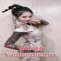 妖娆 - 新韁马蹄打北北 (DJ版)