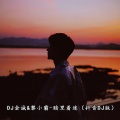 黎小霸 - 暗里着迷