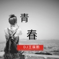 王展鹏 - 青春 (纯音乐)