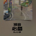 DJ小辞 - 潮音必备 (火影忍者)