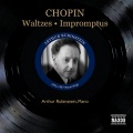 Arthur Rubinstein - Valse brillante