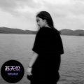 苏天伦 - 每年桃花开的时候