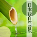 轻音乐 - 放松水流声