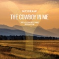 Tim McGraw - The Cowboy In Me