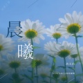 洛天依 - 晨曦
