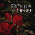 大笨 - 羞答答的玫瑰静悄悄地开