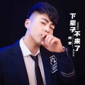 阿鲲 - 下辈子不来了