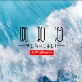 DJ阿超、蓝兰澜 - 吻和泪