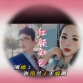 张凤兰、王观勇 - 红颜知己