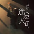 魏佳艺 - 迷途人间