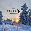 向思思 - 我念的不是冬