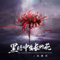 周诺诺 - 黑暗中生长的花