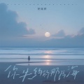 杨瑜婷 - 你失约的那片海