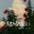 花不晚、陈以默 - 走着走着花就开了
