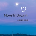 阿水姑娘 - Moonlit dream