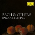 Simon Standage、elizabeth wilcock、anthony pleeth、Robert Woolley、The English Concert、Trevor Pinnock - Handel: Concerto Grosso in D Minor, Op. 6, No. 10, HWV 328: V. Allegro